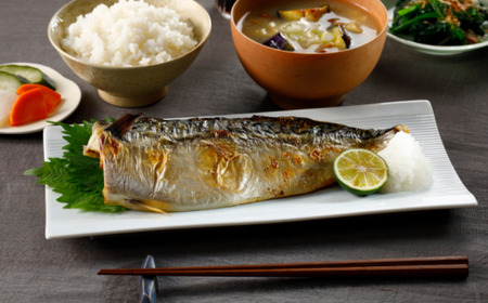訳あり 食塩不使用 さば フィーレ 3.5kg 【11月以降配送】 さば