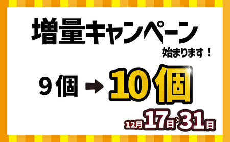 【無添加】 ハンバーグ 9個×140g ハンバーグ 