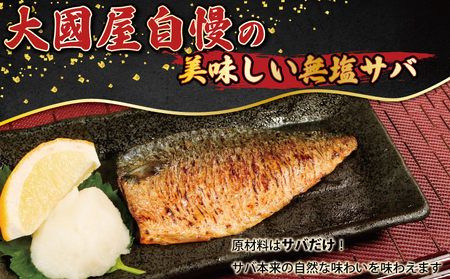 訳あり 国産 無塩さば 約2kg 小サイズ サバ