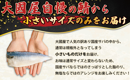 訳あり 国産 無塩さば 約2kg 小サイズ サバ
