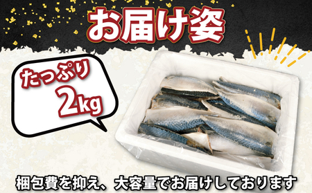 訳あり 国産 無塩さば 約2kg 小サイズ サバ