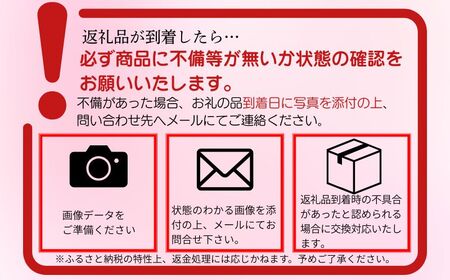 花 フラワーアレンジメント ナチュラル系 Lサイズ 花