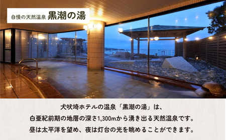 犬吠埼ホテル 宿泊施設利用券 3万円分 ホテル 