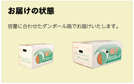 メロン 3Lサイズ 4玉入 メロン タカミレッド