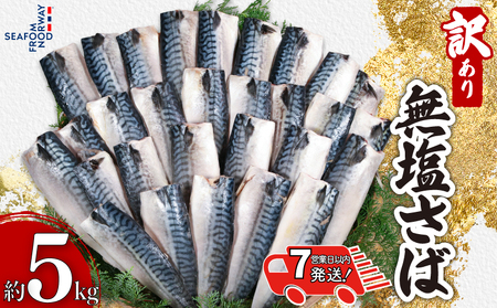 【 スピード配送 】 訳あり 無塩さば 5kg 鯖