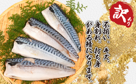 【 スピード配送 】 訳あり 無塩さば 5kg 鯖