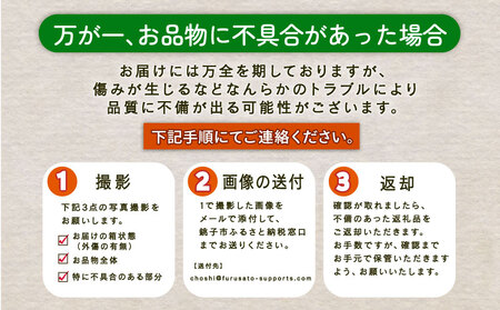 【先行予約】 キャベツ アフロキャベツ 4玉 （2026年1月～6月配送）