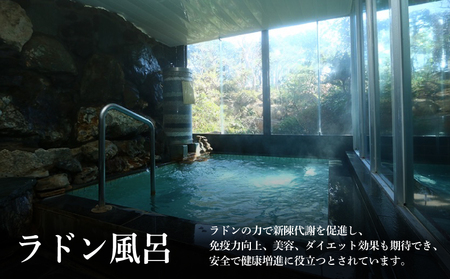 旅館 あしか荘 宿泊ペアチケット 素泊まり1泊2日宿泊ペアチケット（平日）