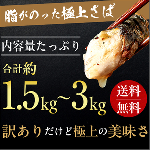 訳あり トロ 塩鯖 約1.5kg 鯖