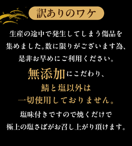 訳あり トロ 塩鯖 約1.5kg 鯖
