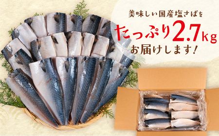 訳あり 国産 塩さば 白醤油風味 約2.7kg