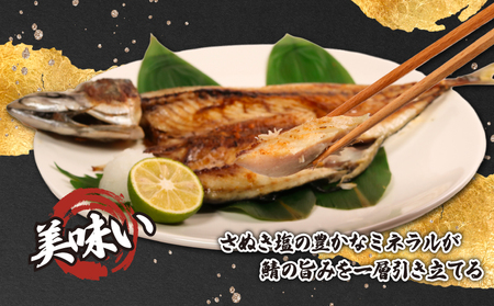 銚子産 一汐さば 8kg