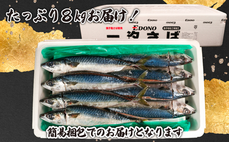 銚子産 一汐さば 8kg