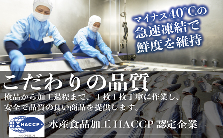 真空 個包装 塩鯖 腹骨取り 48切 鯖