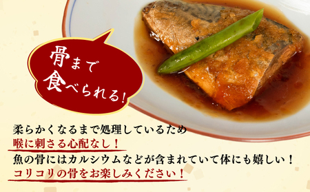 煮魚 6種セット 12P 24食分 鯖 さば 鯵 あじ 鰯 いわし レトルト