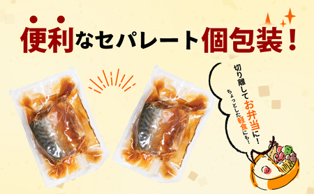 煮魚 6種セット 12P 24食分 鯖 さば 鯵 あじ 鰯 いわし レトルト