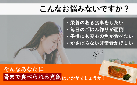煮魚 6種セット 12P 24食分 鯖 さば 鯵 あじ 鰯 いわし レトルト