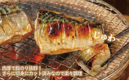 訳あり 霜降り塩サバ 約1kg 【 鯖 】 カネジョウ大崎