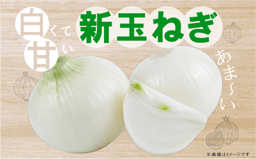 先行予約 新玉ねぎ 約5kg