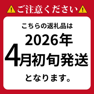 訳あり 有塩さば 骨取り 約1kg さば