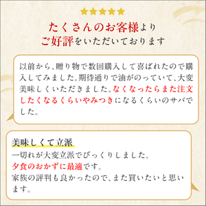 訳あり トロ 塩鯖 1kg