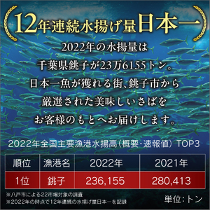 訳あり トロ 塩鯖 2kg