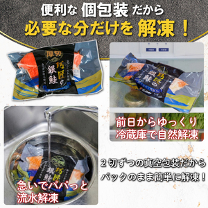 【スピード配送】 極厚 銀さけ 真空包装 6切 （ 2切入 × 3パック ）