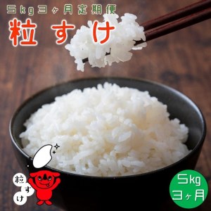 【定期便】 粒すけ 5kg 3ヶ月 ちばの新しいお米 つぶすけ 一等米 千葉県銚子市 白米【お米マイスター厳選】【ご希望時期に発送】
