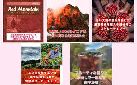 【12203-0126】水出し珈琲セット(お手軽版) 世界の高級コーヒー80g×4種 銀河コーヒー ふるさと納税 市川市 返礼品