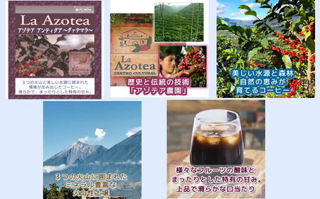 【12203-0126】水出し珈琲セット(お手軽版) 世界の高級コーヒー80g×4種 銀河コーヒー ふるさと納税 市川市 返礼品
