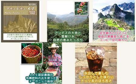 【12203-0126】水出し珈琲セット(お手軽版) 世界の高級コーヒー80g×4種 銀河コーヒー ふるさと納税 市川市 返礼品