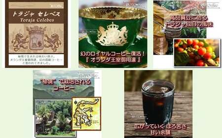 【12203-0126】水出し珈琲セット(お手軽版) 世界の高級コーヒー80g×4種 銀河コーヒー ふるさと納税 市川市 返礼品