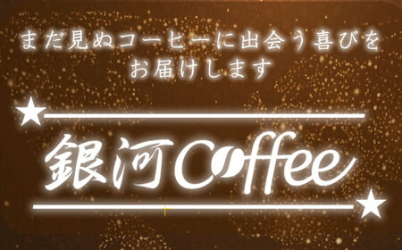 【12203-0107】定期便6回 世界一周 高級珈琲（粉 中挽き） 銀河コーヒー 