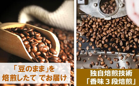 【12203-0103】生涯で飲みたい 世界３大珈琲(豆のまま)100g×3種 銀河コーヒー 