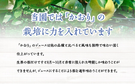 果汁１００％梨ジュース　250ml×5本セット　【12203-0050】