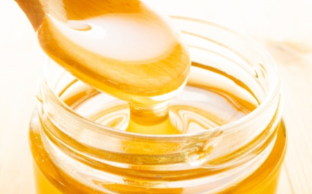 日本蜜蜂　はちみつ　300g　【12203-0079】