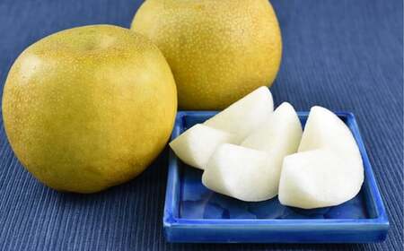 市川のブランド梨「幸水」大玉　約3kg（5～9玉）　【12203-0038】