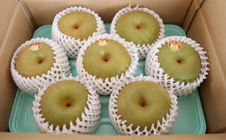 市川のブランド梨「幸水」大玉　約3kg（5～9玉）　【12203-0038】