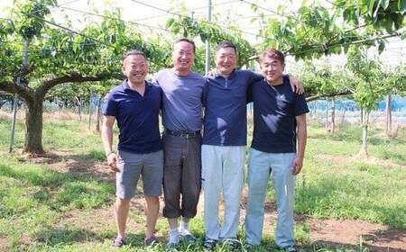 市川のブランド梨「幸水」大玉　約3kg（5～9玉）　【12203-0038】