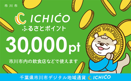 ふるさと納税 伊勢市 三重県伊勢市 PayPay商品券(3,000円分)※地域内の一部の加盟店のみで利用可 ストア