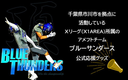 ブルーサンダース プルオーバーパーカー＜カラー：杢グレー／サイズ：XL＞　【12203-0202】