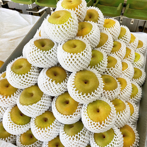 浅海農園 市川のブランド梨 幸水3kg 【12203-0086】