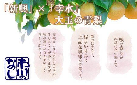 市川の梨　かおり3キロ(４～６個入り） 【12203-0200】