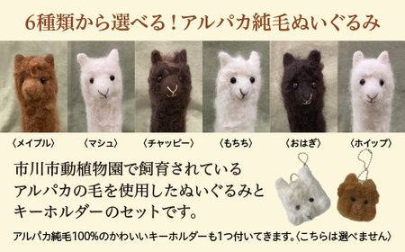 アルパカ純毛ぬいぐるみ・キーホルダーセット　【12203-0264】