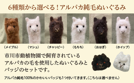 アルパカ純毛ぬいぐるみ・バッジセット 【12203-0265】