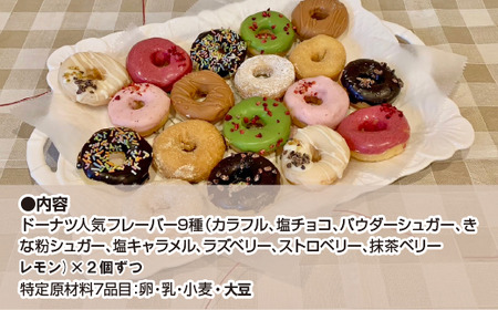 【パーティやストックおやつに】DONADONA　カラフルドーナツおまかせ9種18個セット　【12203-0271】