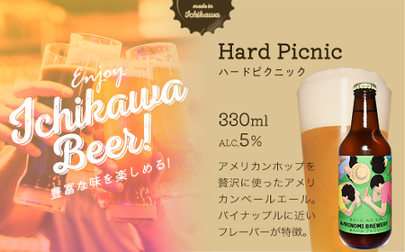 市川市初のビール工場『ありのみブルワリー』クラフトビール飲み比べセット　【12203-0272】