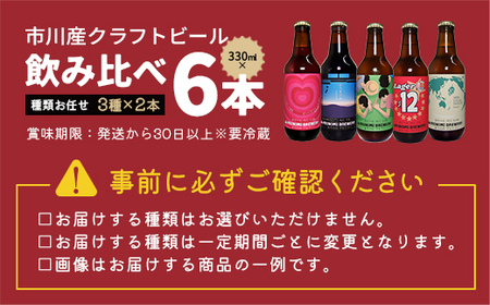 市川市初のビール工場『ありのみブルワリー』クラフトビール飲み比べセット　【12203-0272】