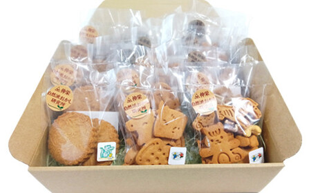 ヴィーガンの米粉クッキー詰め合わせ（大）　【12203-0279】