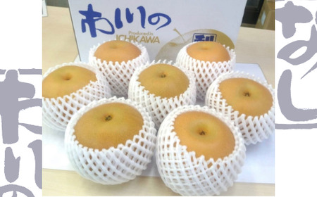 市川の梨　幸水　3kg（5～10個入り）　【12203-0084】